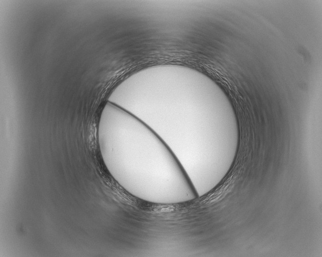 X0000116300624200911301015
