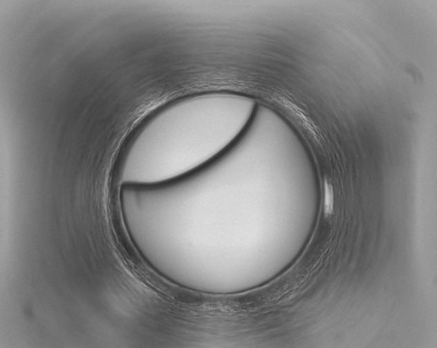 X0000116300627200911301015