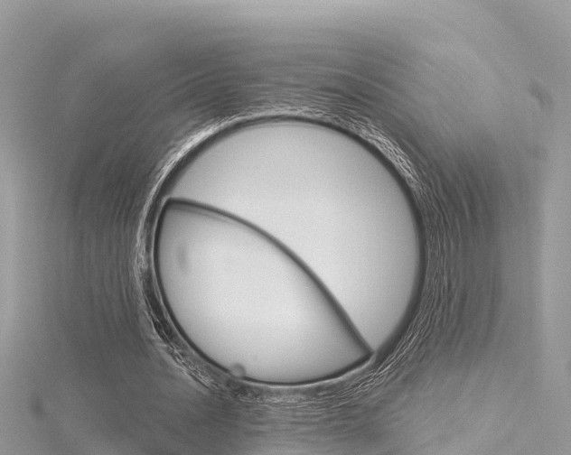 X0000116300628200911301015