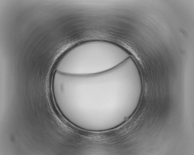 X0000116300629200911301015