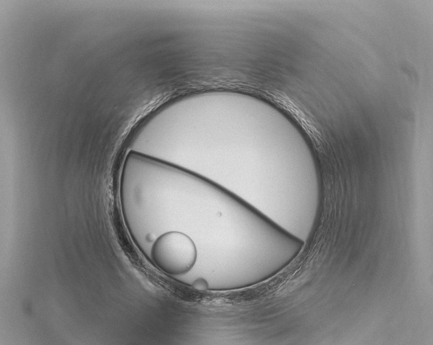 X0000116300634200911301015