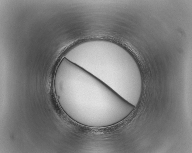 X0000116300640200911301015