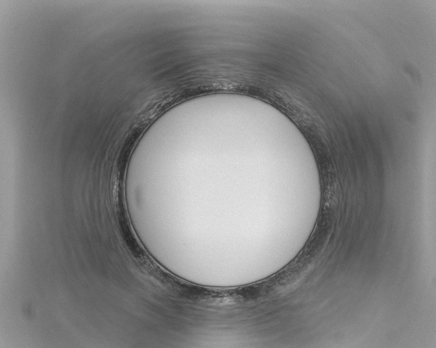 X0000116300646200911301015