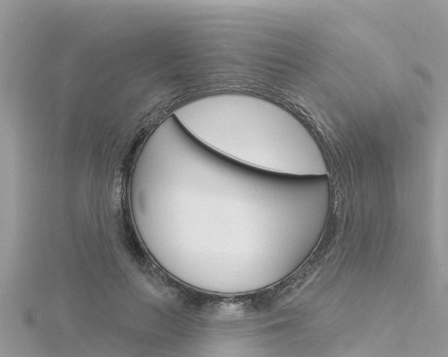 X0000116300647200911301015