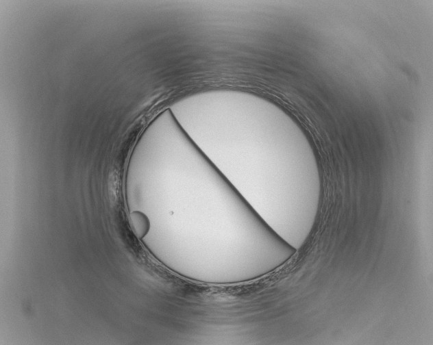 X0000116300648200911301015