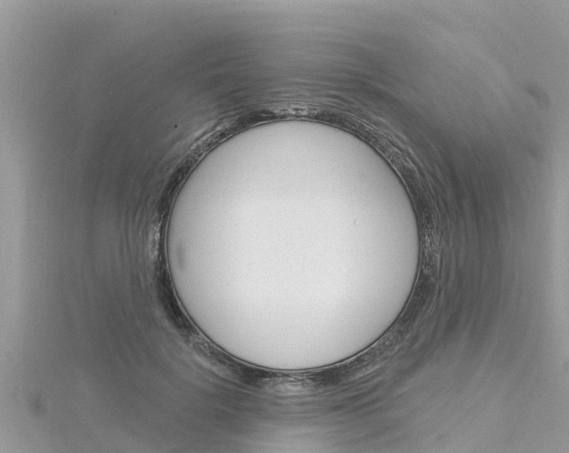 X0000116300652200911301015