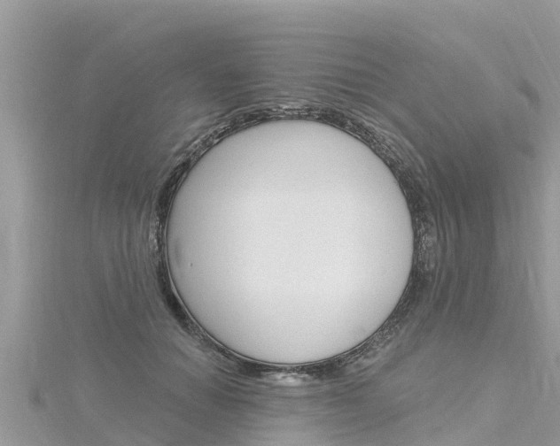 X0000116300654200911301015