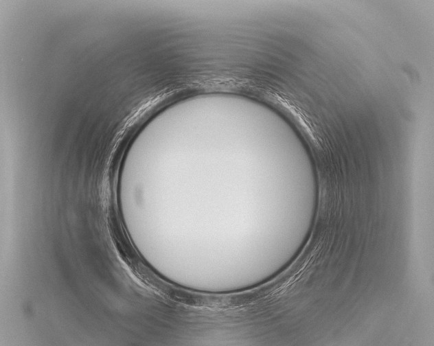 X0000116300674200911301015