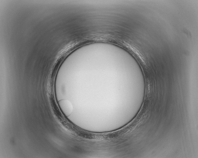 X0000116300682200911301014