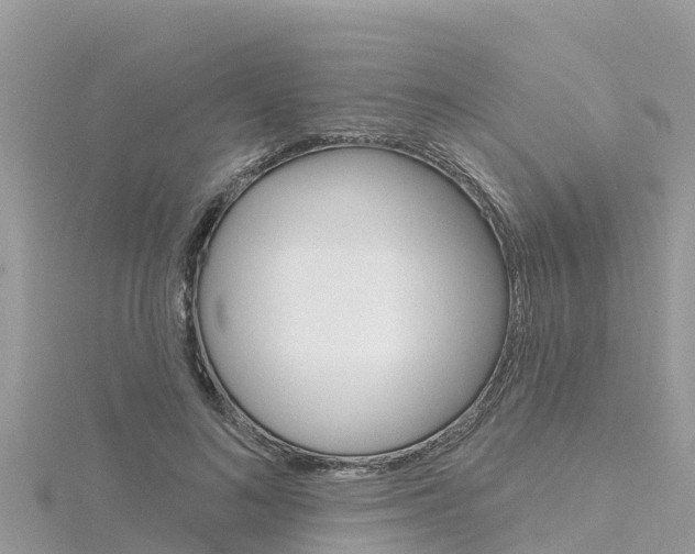 X0000116300692200911301014