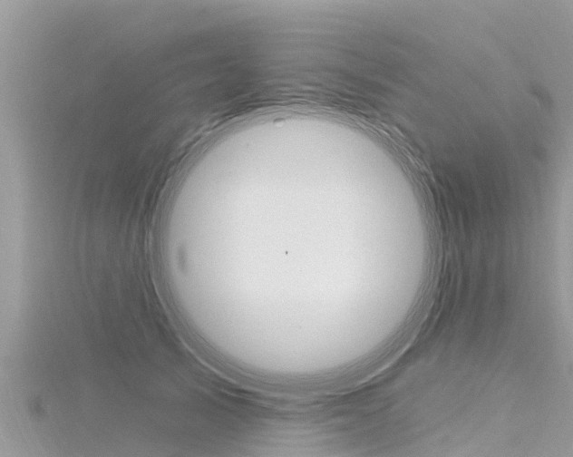 X0000116300705200911301014