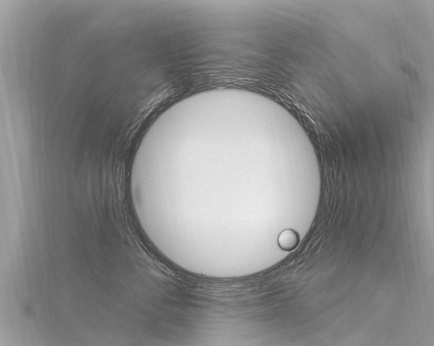 X0000116300716200911301014