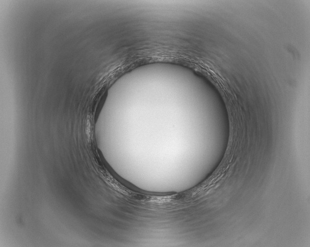 X0000116300720200911301014
