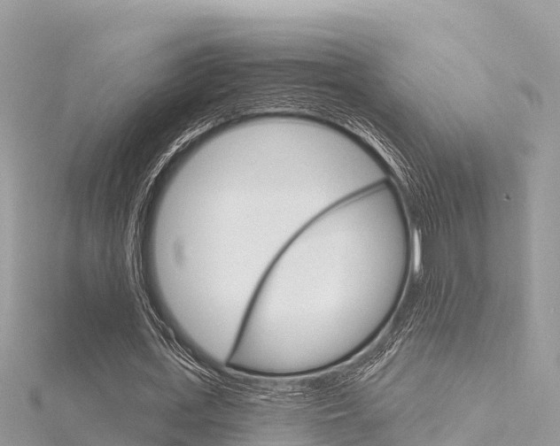 X0000116300723200911301013