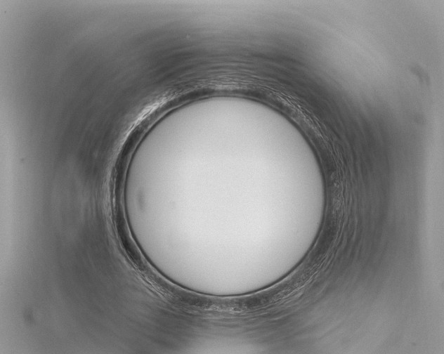 X0000116300727200911301013