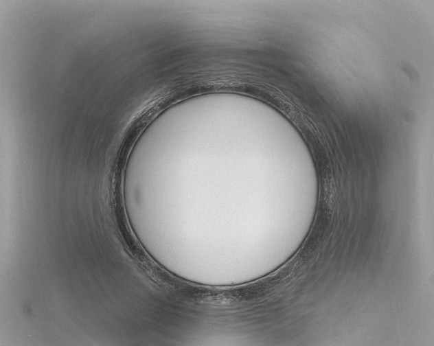 X0000116300735200911301013
