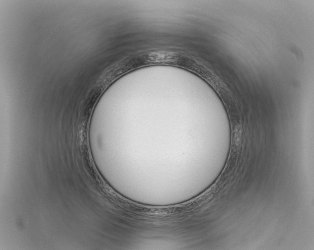 X0000116300741200911301013