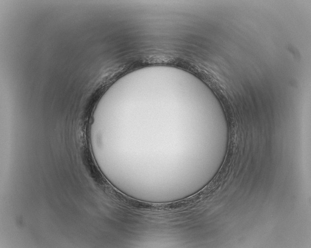 X0000116300743200911301013