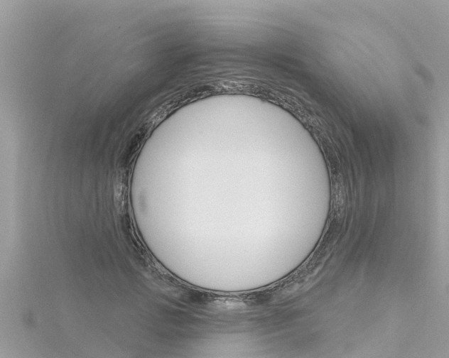 X0000116300749200911301014