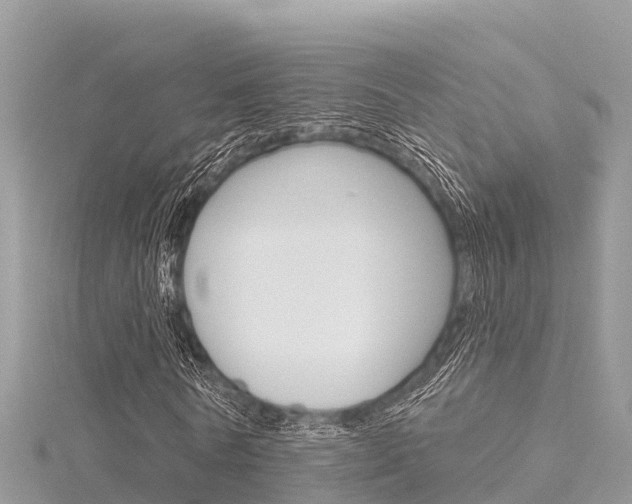 X0000116300770200911301013