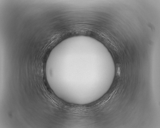 X0000116300771200911301013