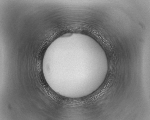 X0000116300772200911301013