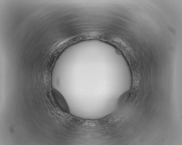 X0000116300773200911301013