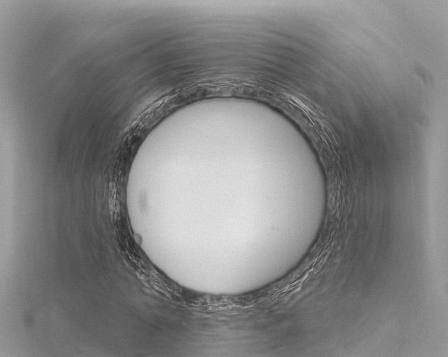 X0000116300774200911301013