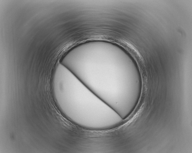 X0000116300777200911301013