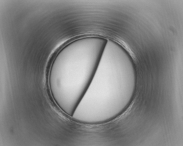 X0000116300780200911301013