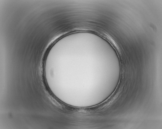 X0000116300787200911301013