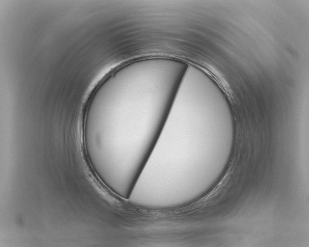 X0000116300796200911301013