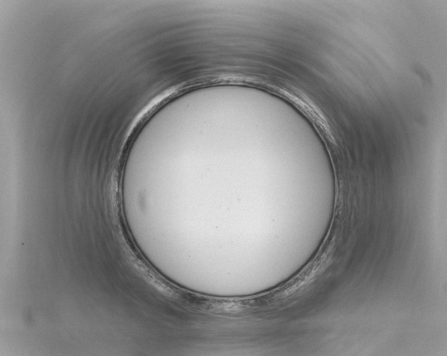 X0000116300798200911301013