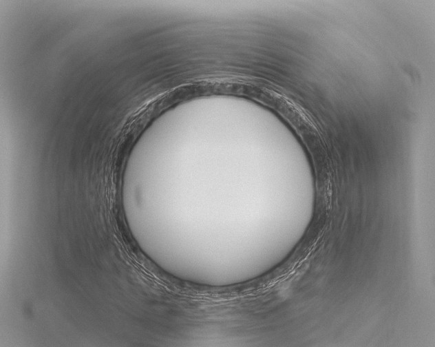 X0000116300821200911301012