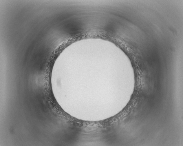 X0000116300824200911301012
