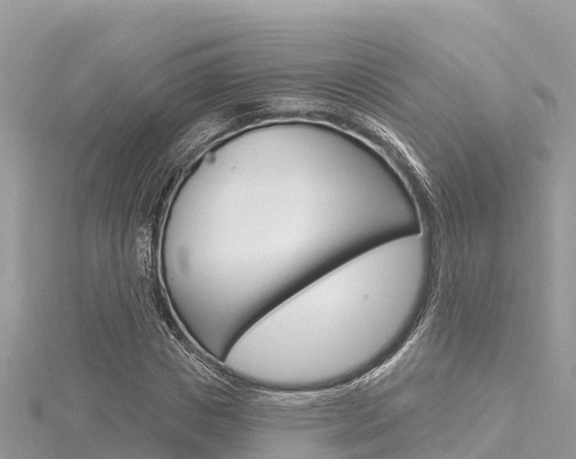 X0000116300825200911301012