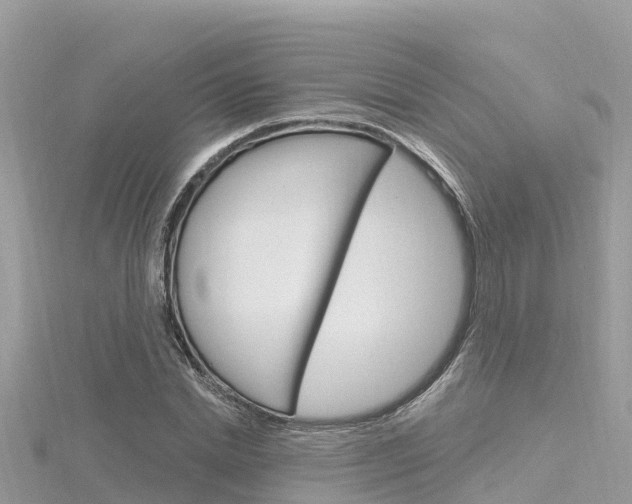 X0000116300830200911301012