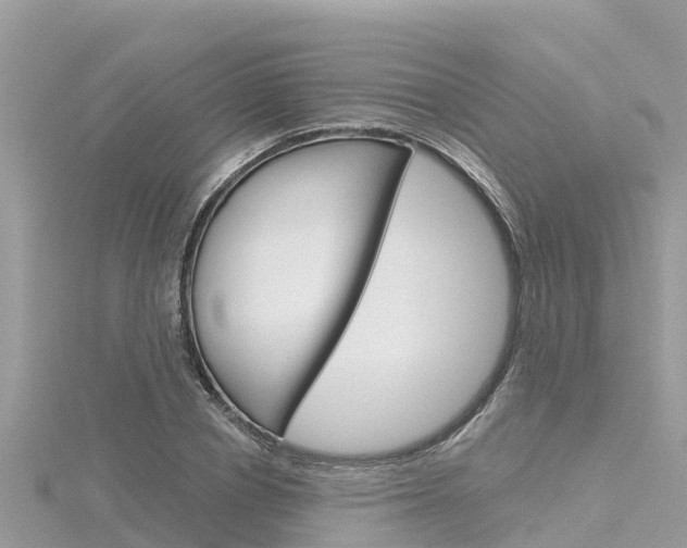 X0000116300834200911301012