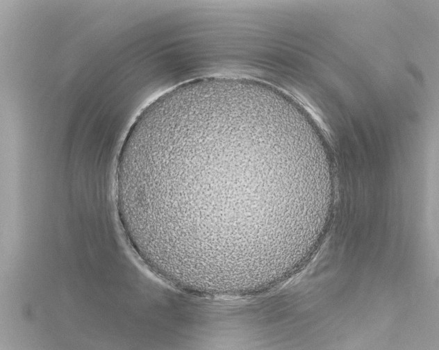 X0000116300848200911301012