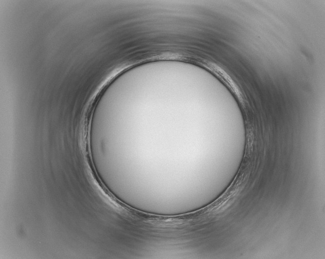 X0000116300851200911301012