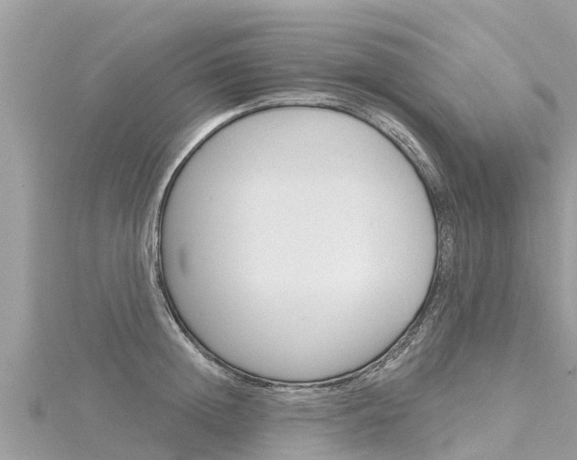 X0000116300852200911301012