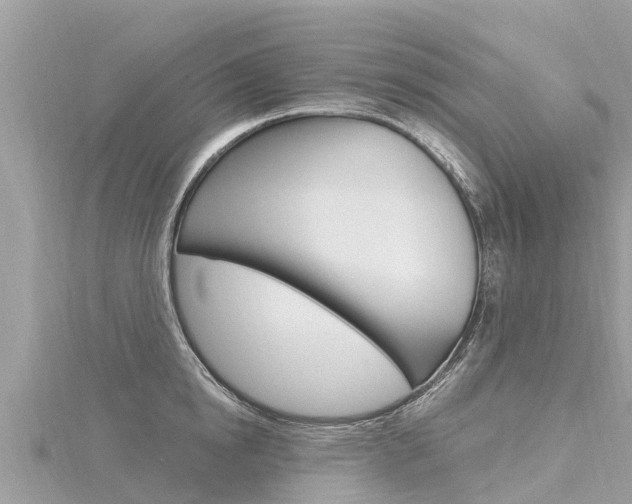 X0000116300854200911301012