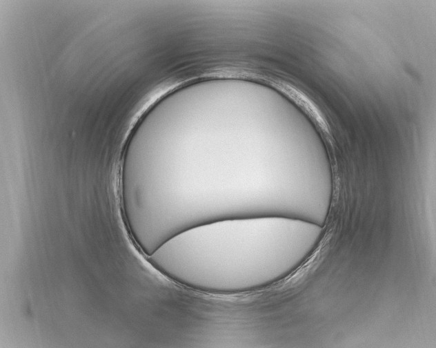 X0000116300855200911301012