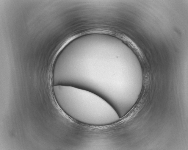 X0000116300860200911301012