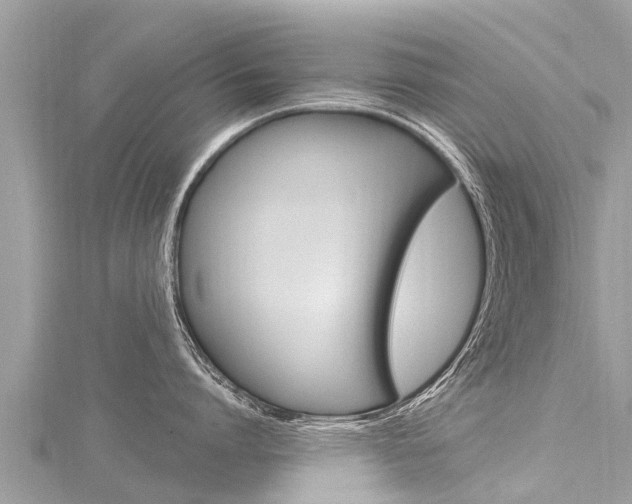 X0000116300864200911301012