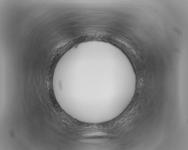 X0000116300869200911301012