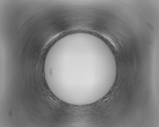 X0000116300872200911301012