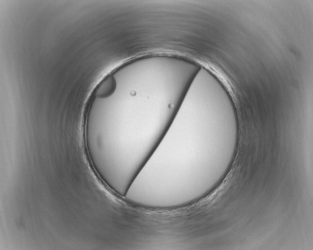 X0000116300902200911301011