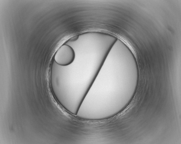 X0000116300906200911301011