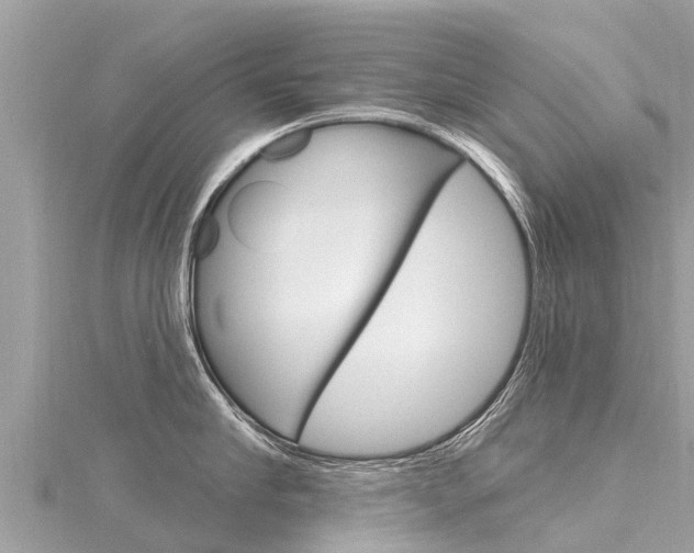 X0000116300910200911301011